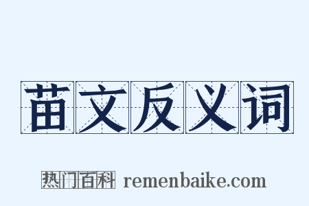 苗文反义词是什么意思的图片